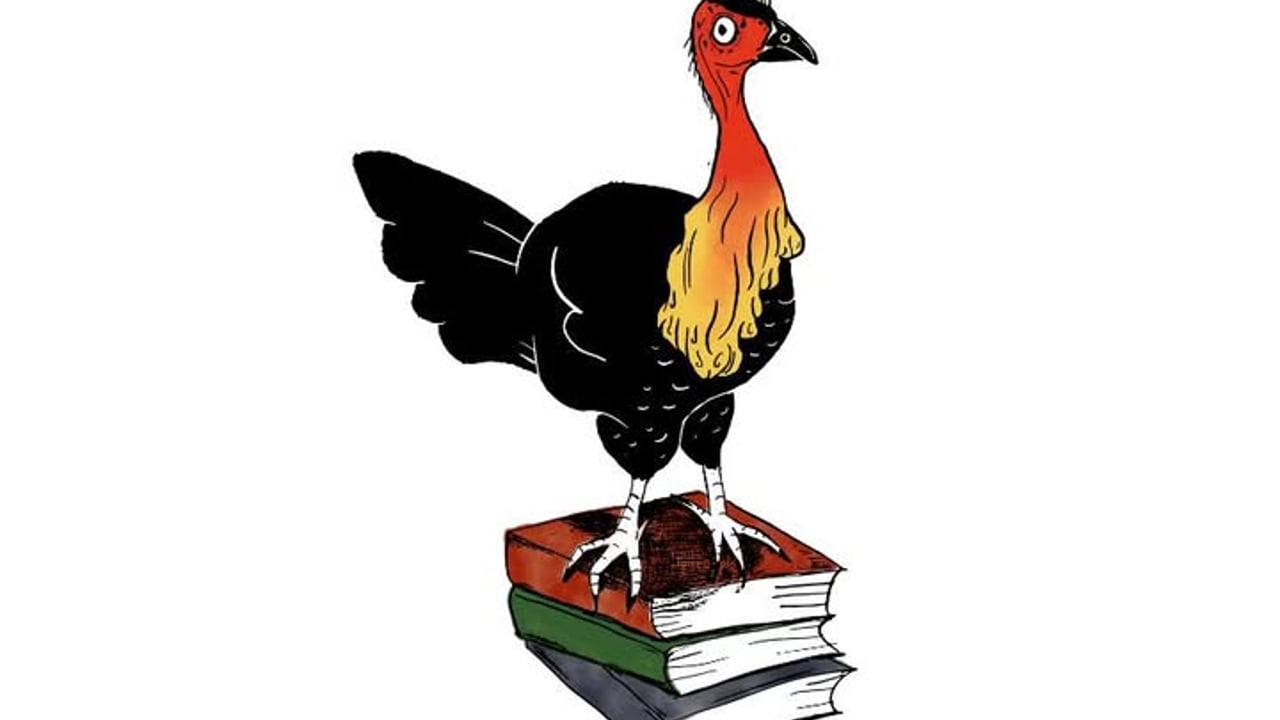 Brush Turkey Books