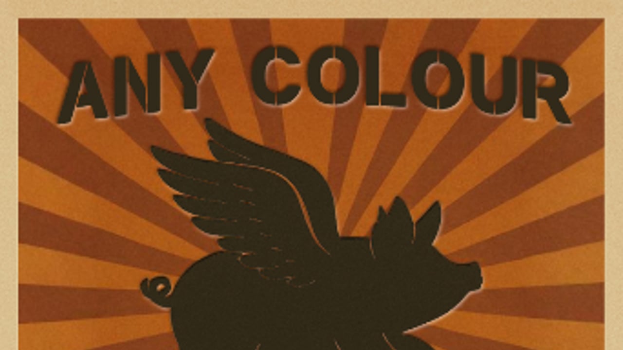 Any Colour - Celebrating the music of Pink Floyd