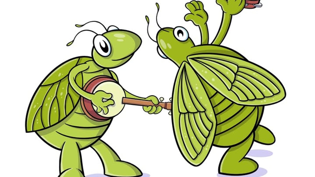 Crickets & Cicadas