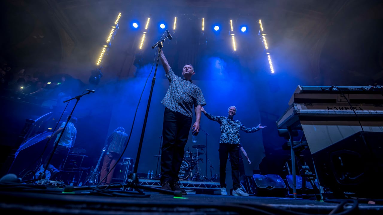 Inspiral Carpets