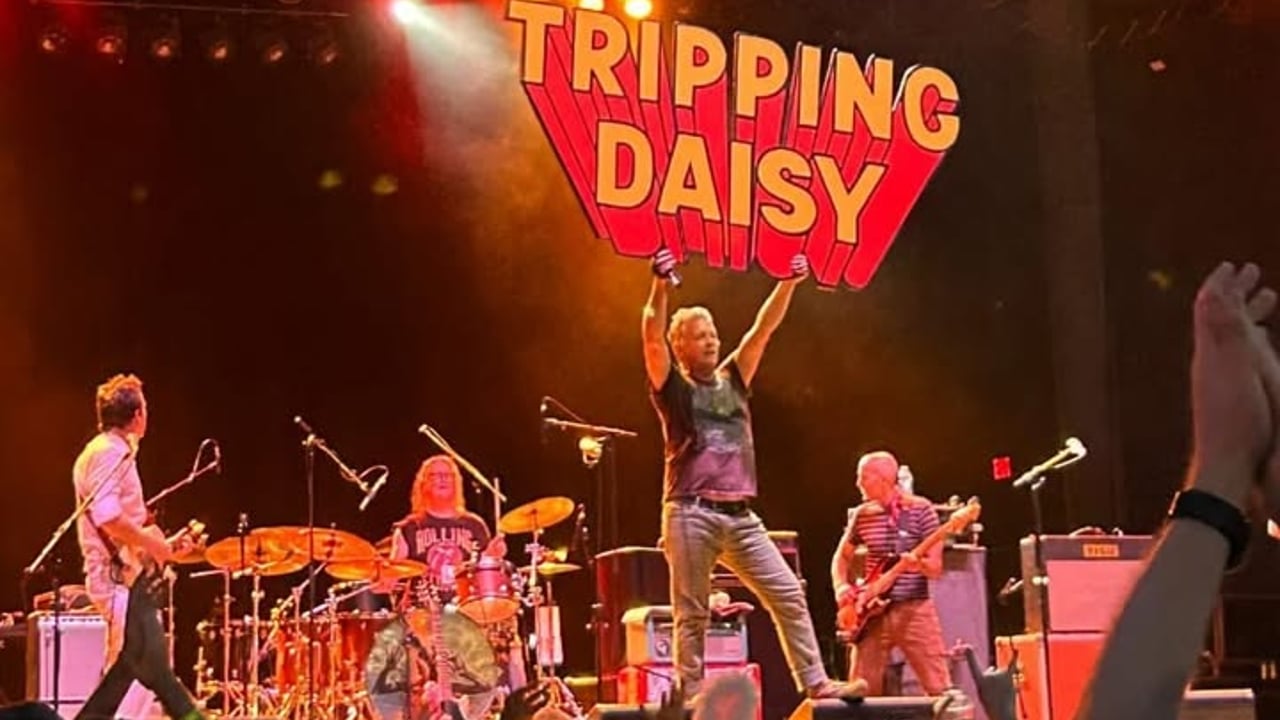 Tripping Daisy