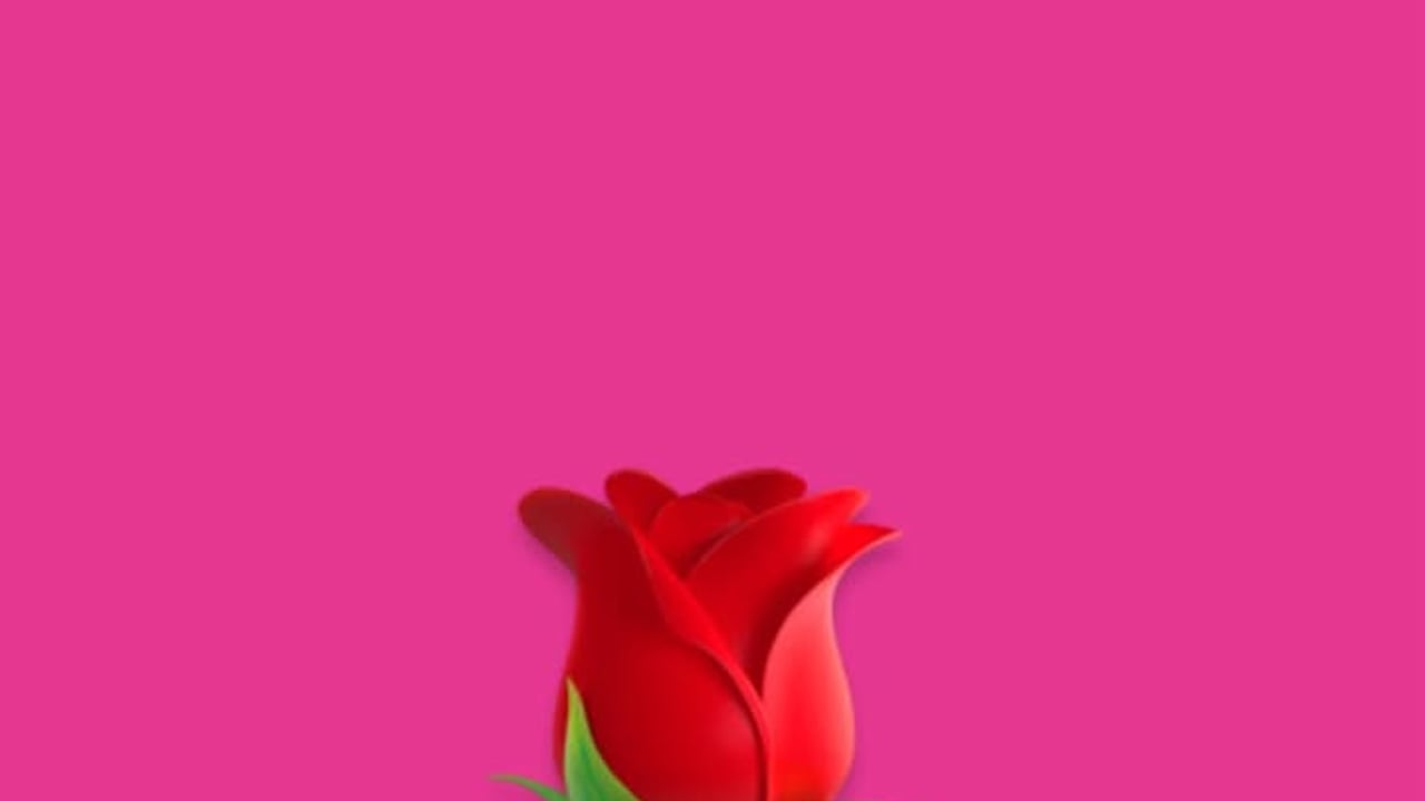 LANY