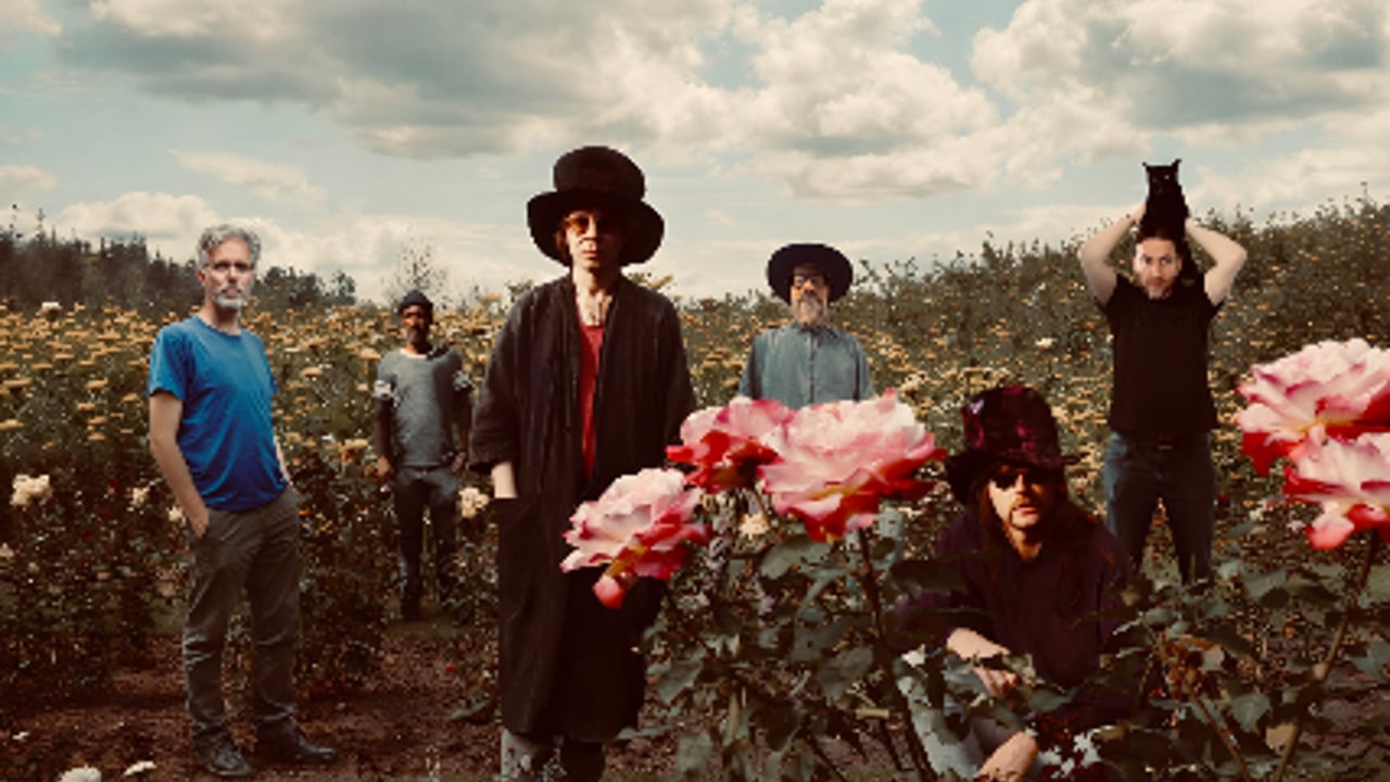 THE TEAR GARDEN (The Legendary Pink Dots & cEvin Key)