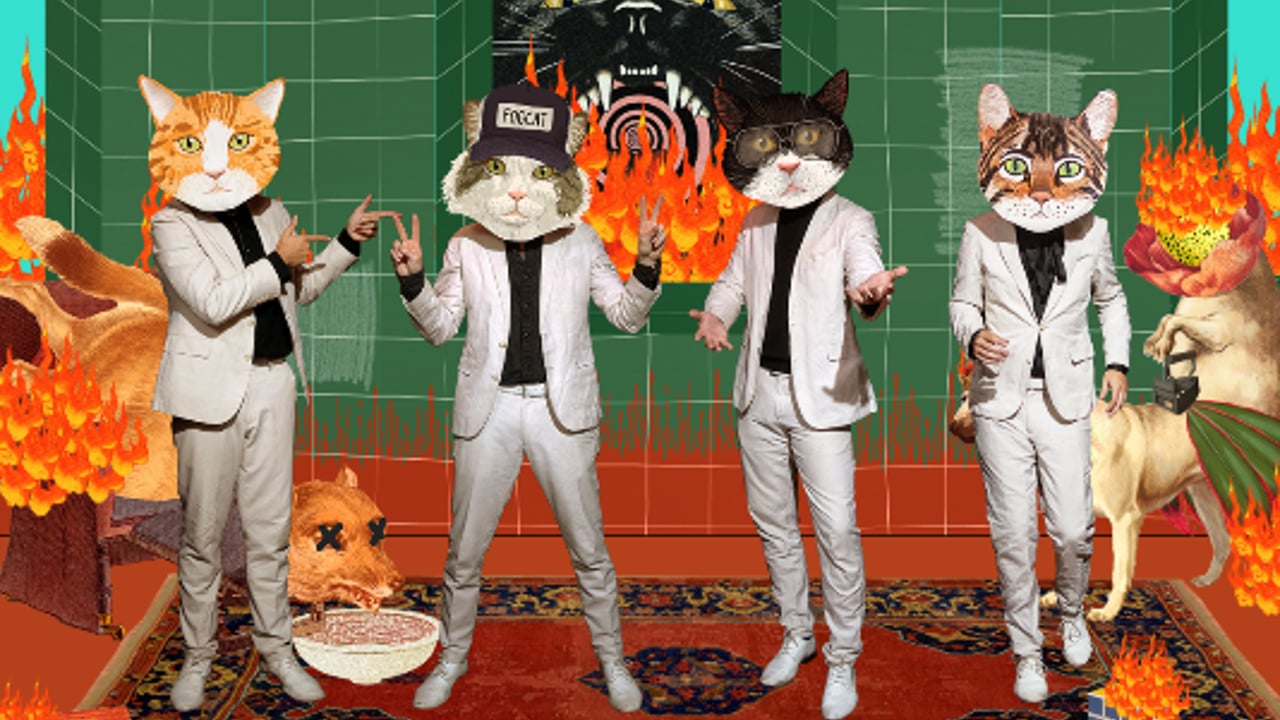 Fantastic Cat w/ guests