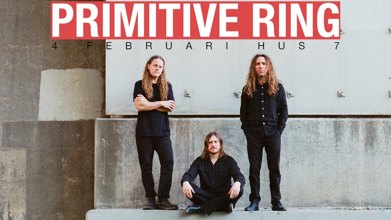 Primitive Ring | Hus 7