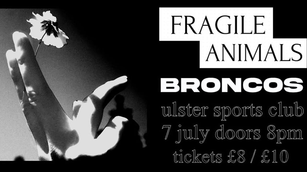 Old Crows Promotions Presents: Fragile Animals / Broncos