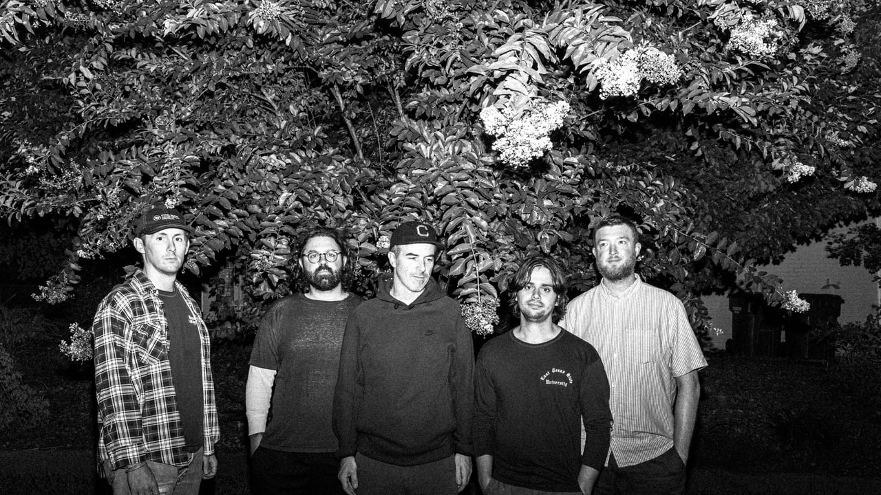 Fiddlehead with Narrow Head, Knumears & Destiny Bond
