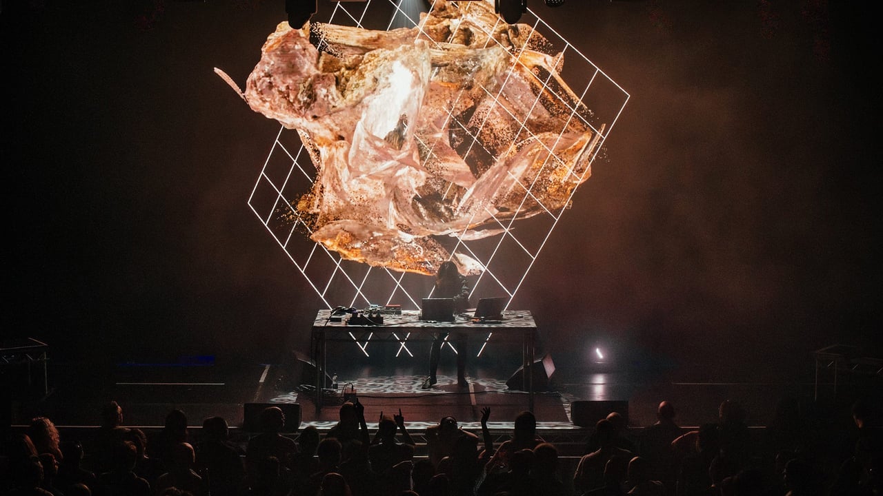 Halina Rice - Immersive A/V Show