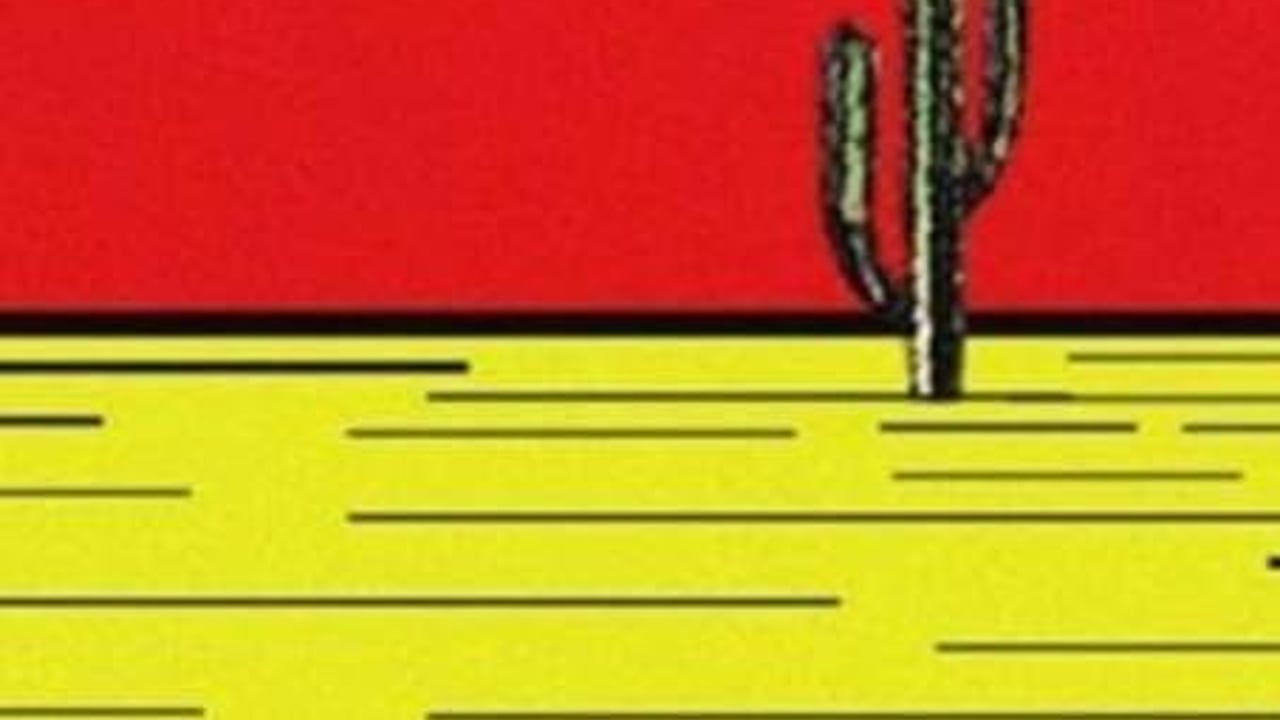 The Crooked Rugs