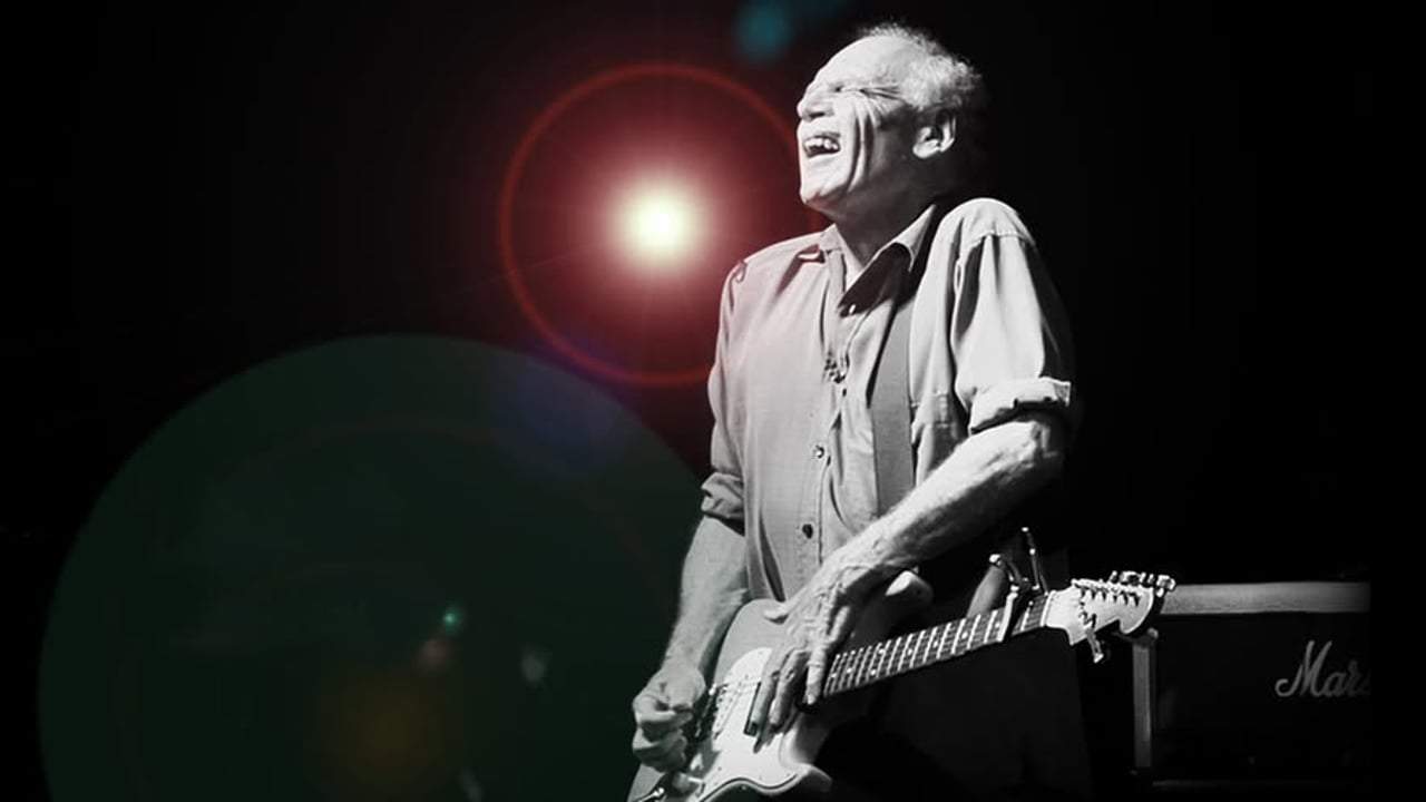 Dave Hole - Bluesman