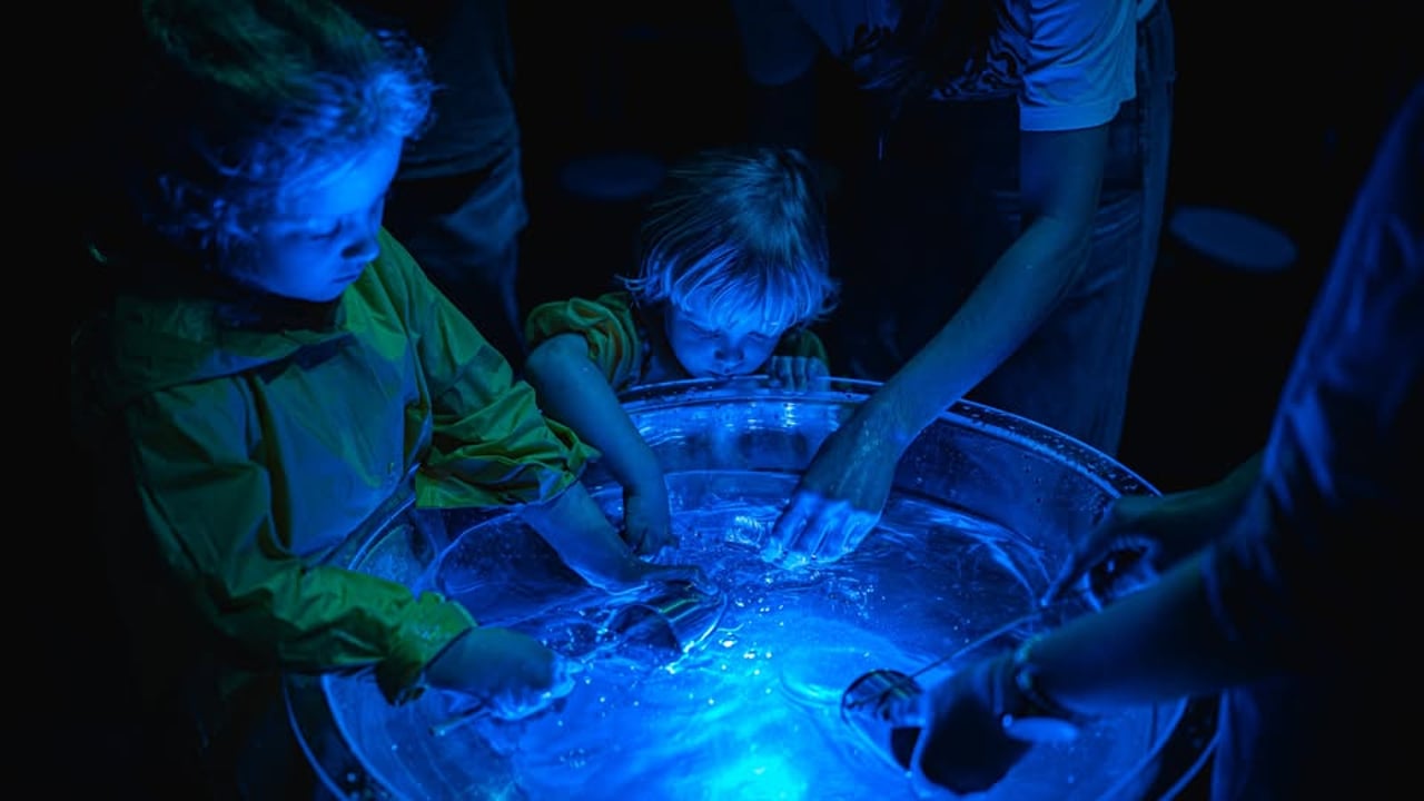 BREC, Ad Lib Collective & Circuitwest present a Playing WA tour of DROP DROP PLAY