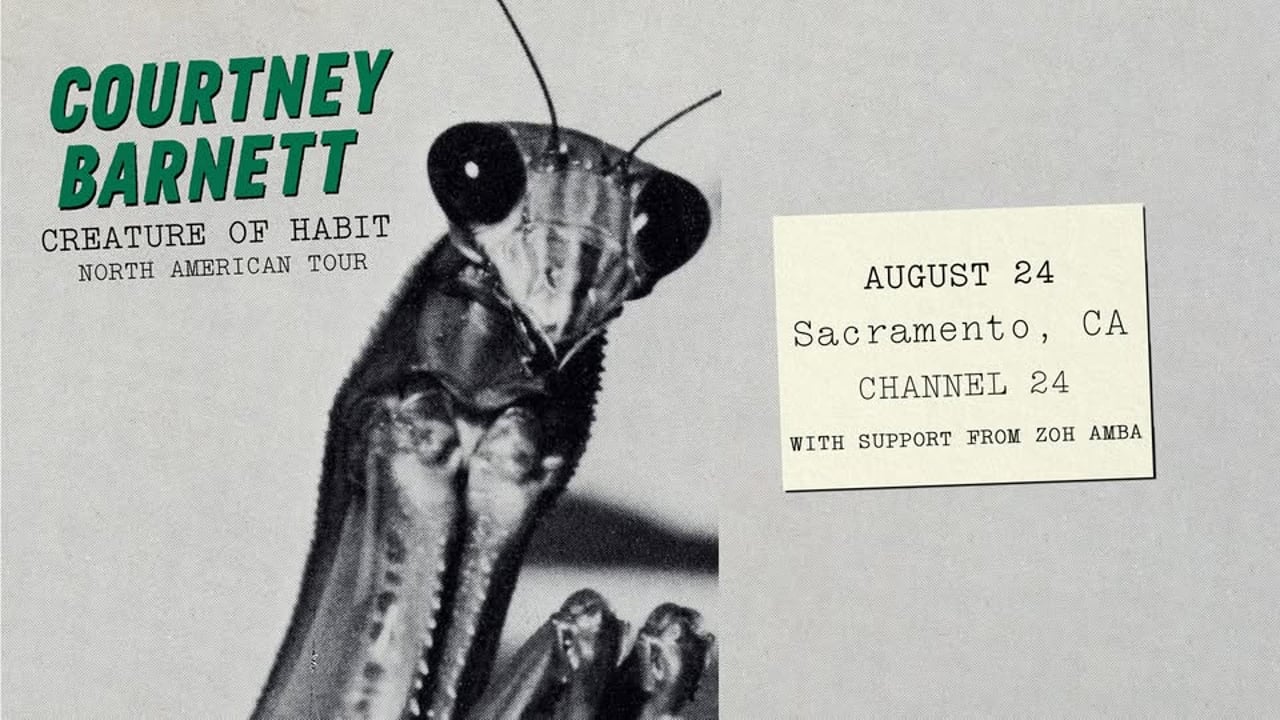 Courtney Barnett @ Channel 24