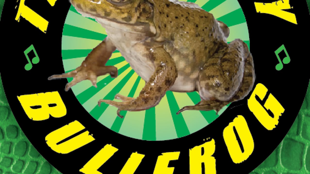 The Mighty Bullfrog