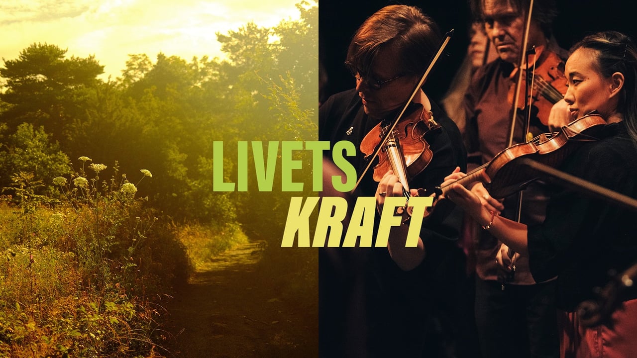 Det Norske Kammerorkester //  Kammerkonsert - Livets Kraft