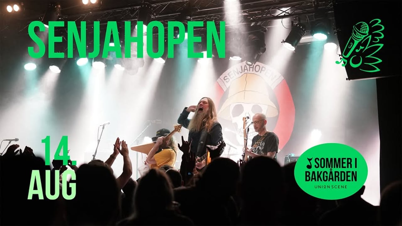 Senjahopen // Sommer i bakgården - Drammen