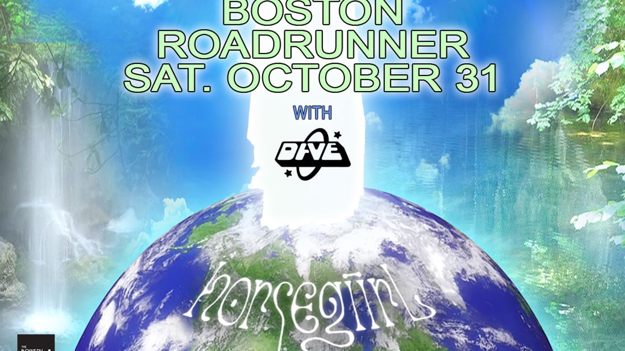 horsegiirL in Boston