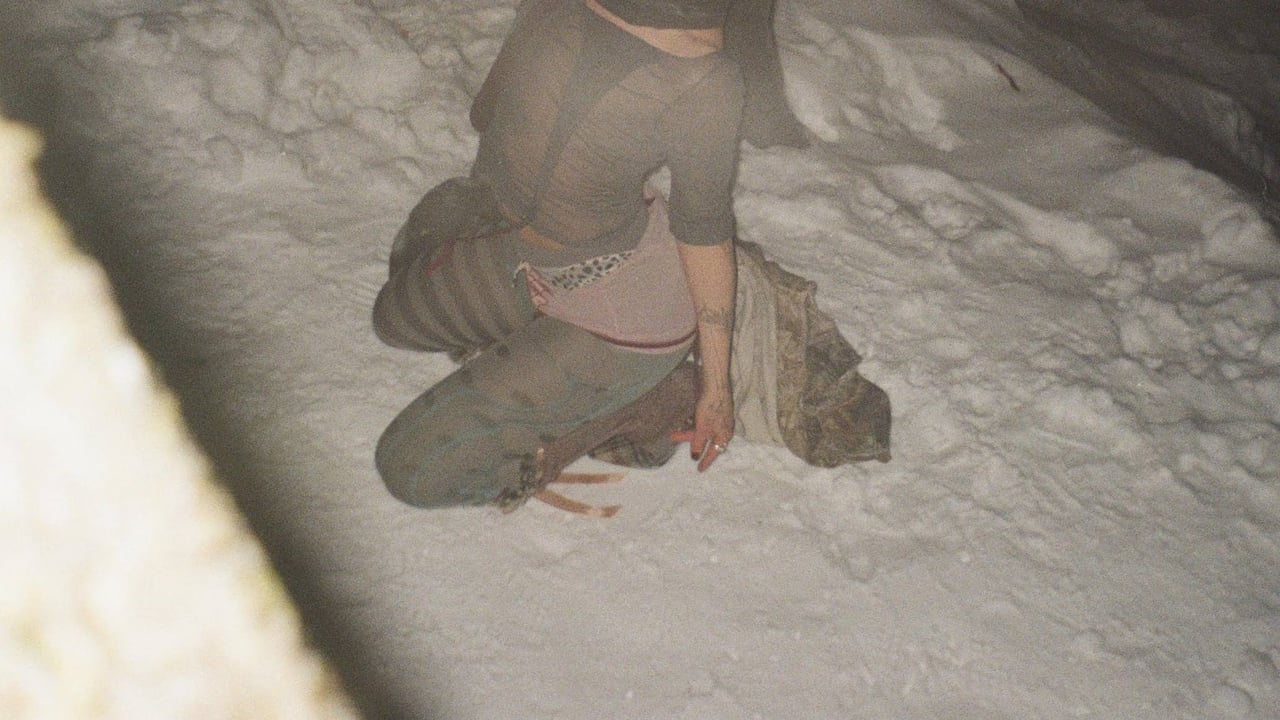 dustBunny