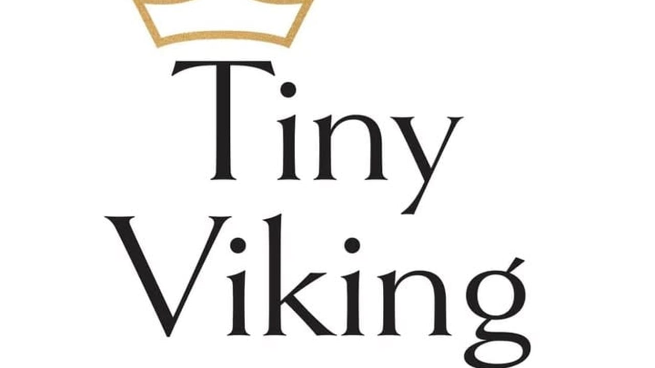 tiny viking