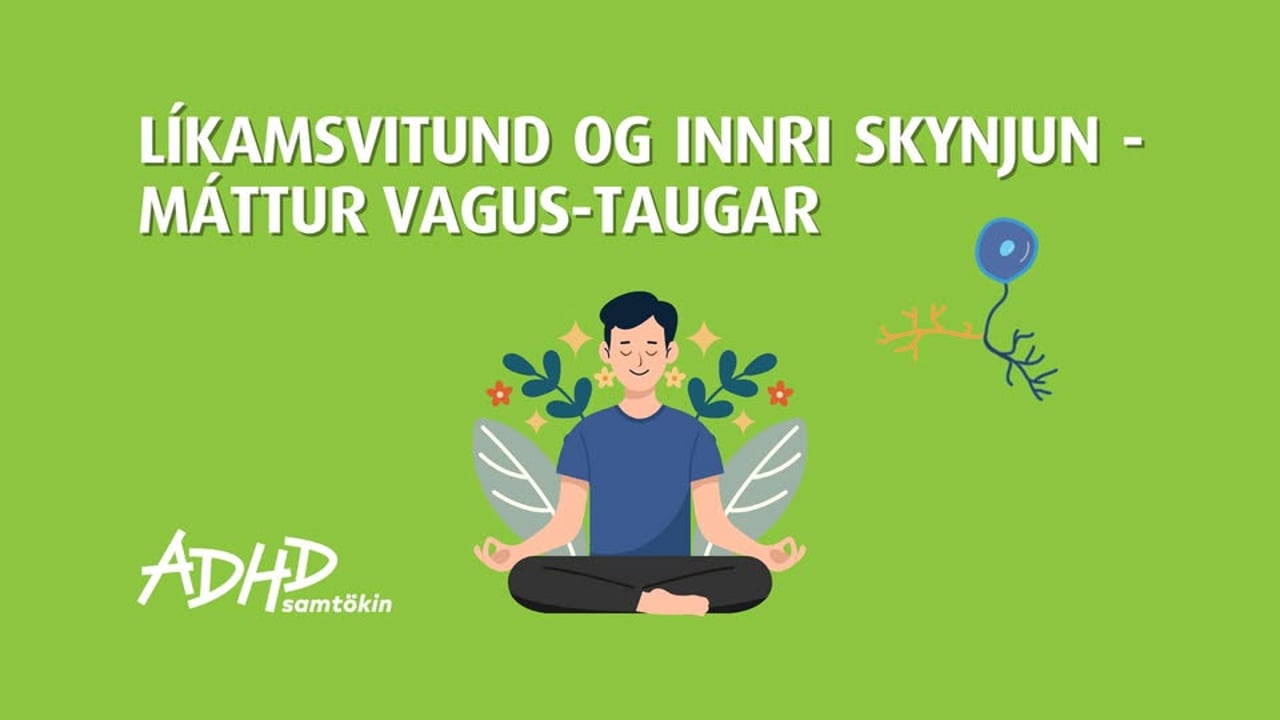 Líkamsvitund og innri skynjun - máttur Vagus taugar