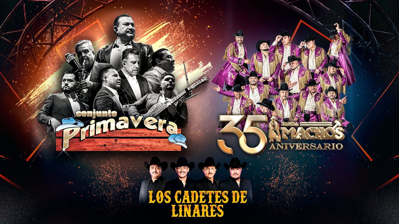Conjunto Primavera En Concierto