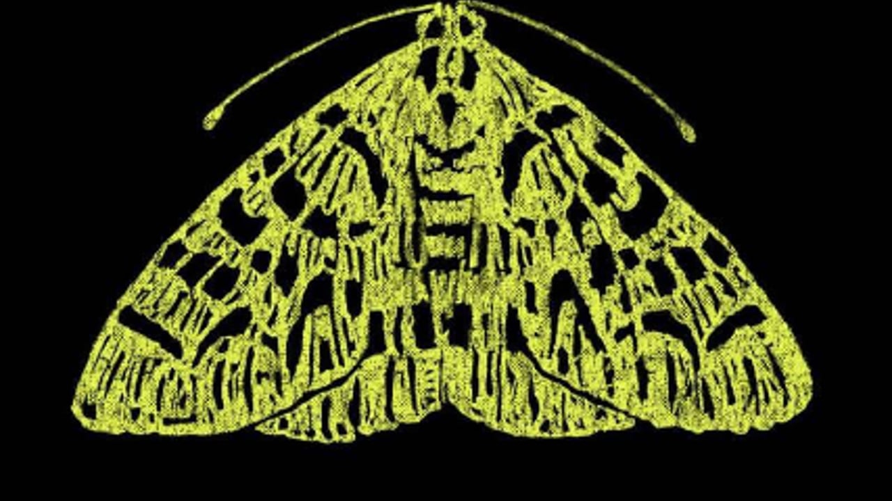 THE MOTH: SCHOOLED