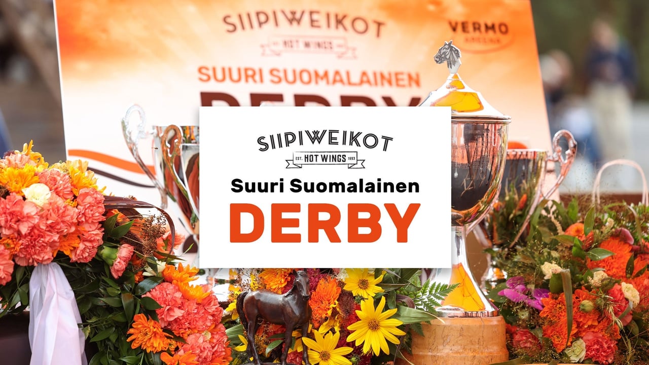 Siipiweikot Suuri Suomalainen Derby la 15.8