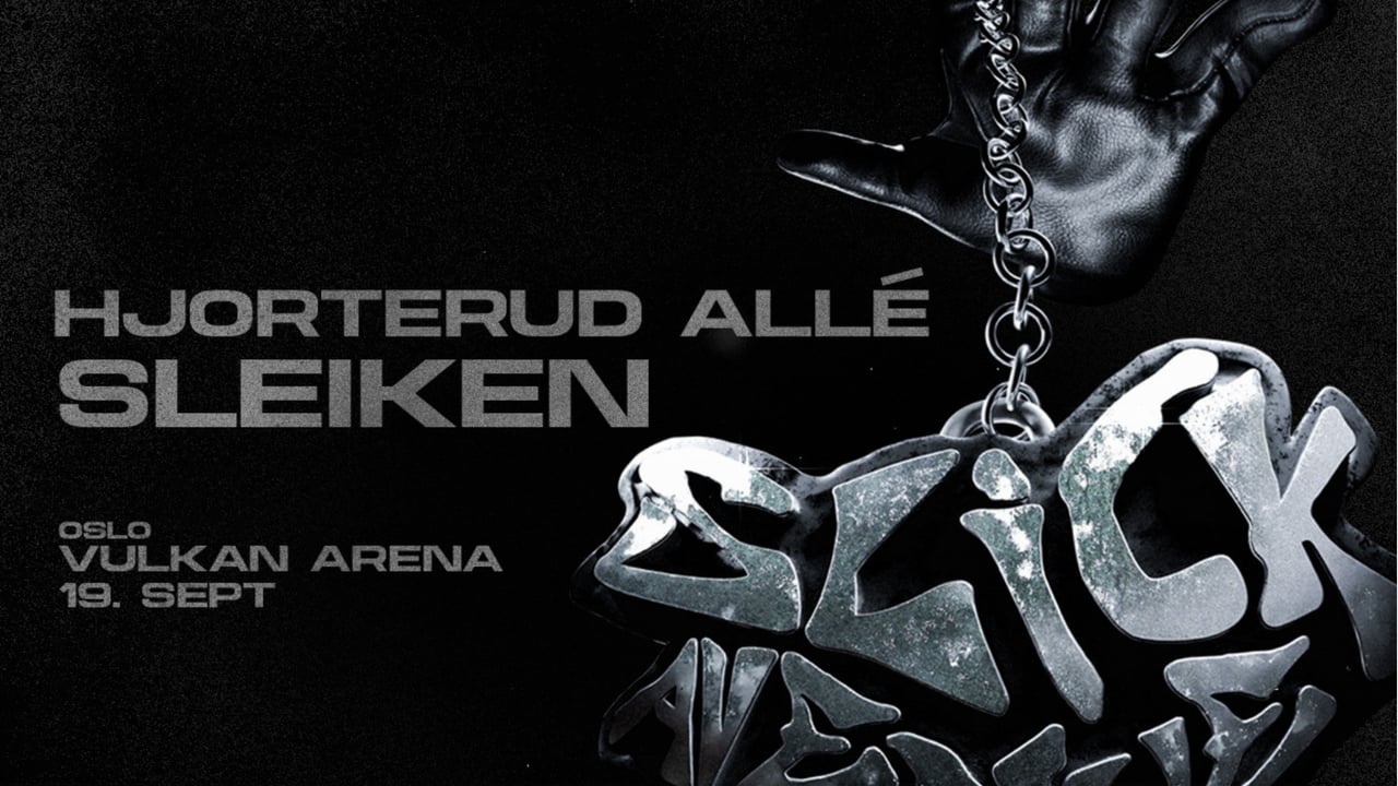 Sleiken X Hjorterud Allé