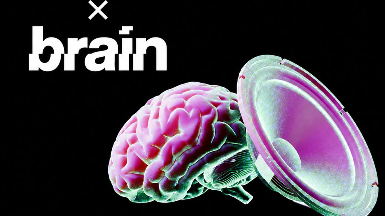 LAUT X BRAIN: WAREHOUSE RAVE