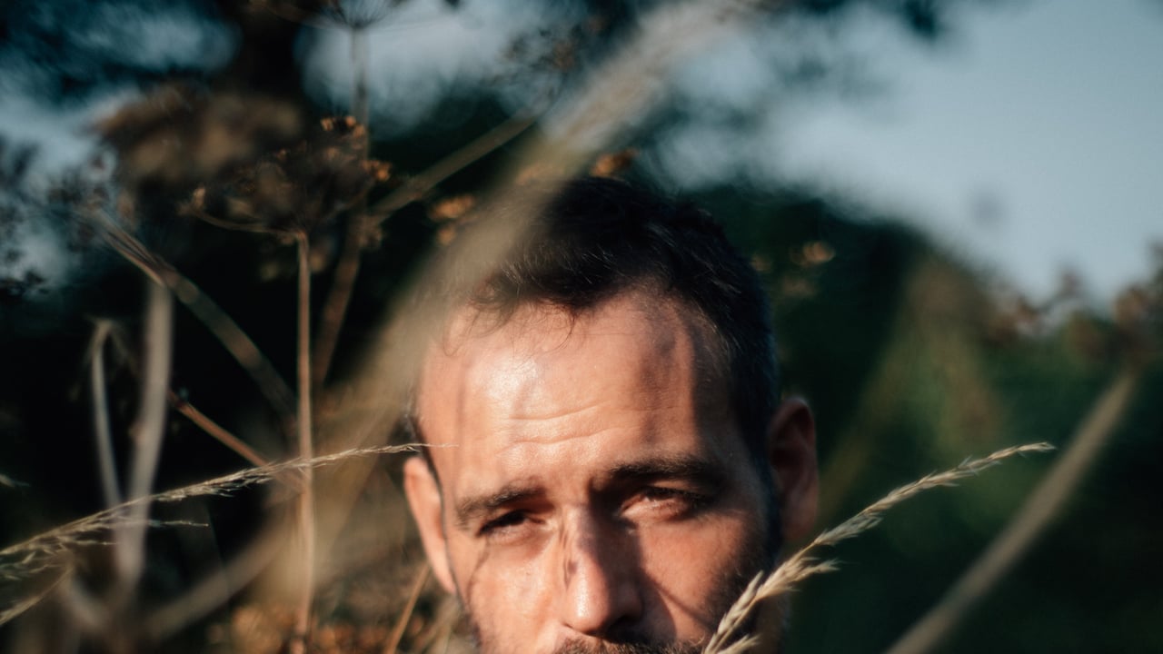 Roo Panes