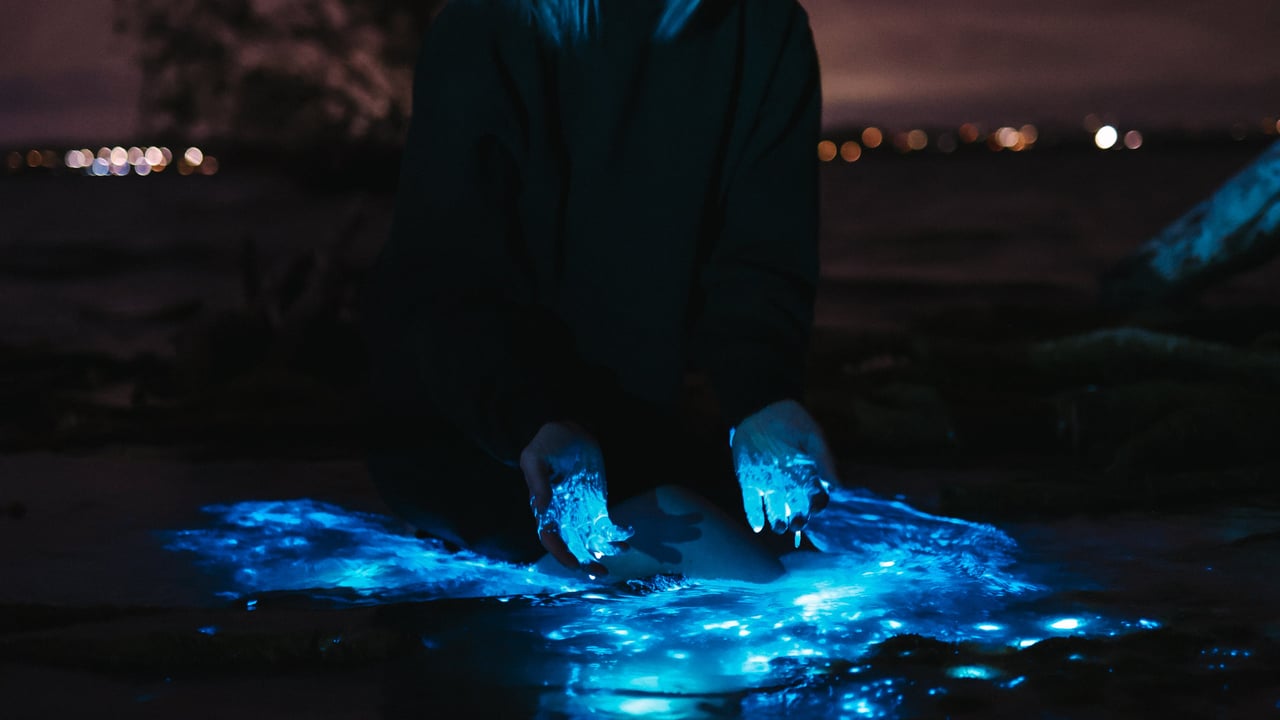 PHOEBE BRIDGERS