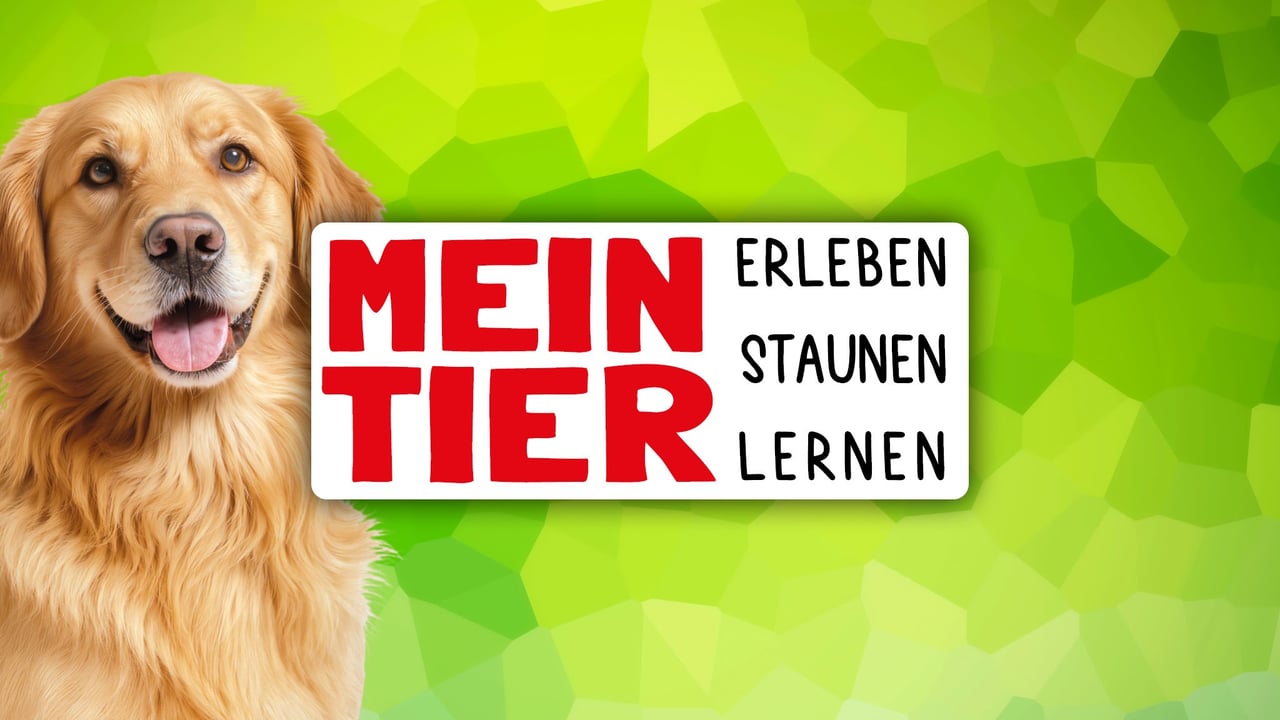 Mein Tier 2026 07. & 08. November 2026