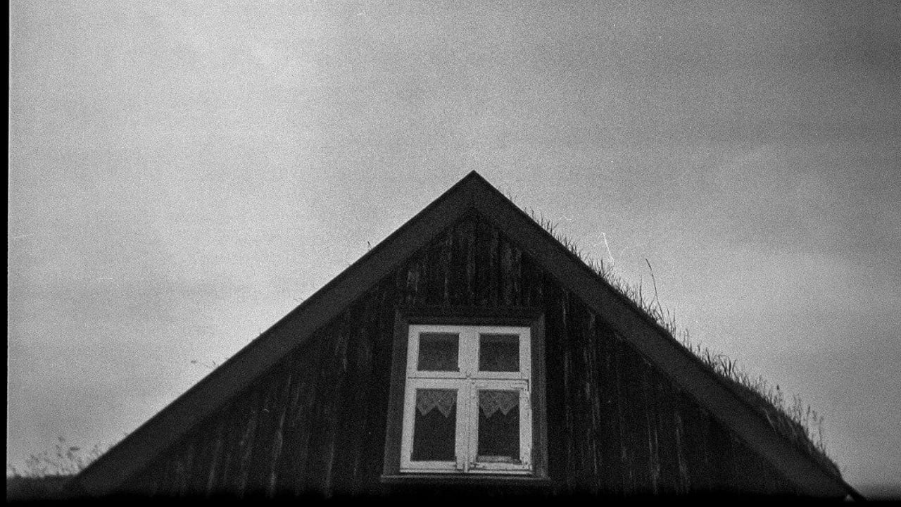 Draugar Dýrafjarðar 2 sýning