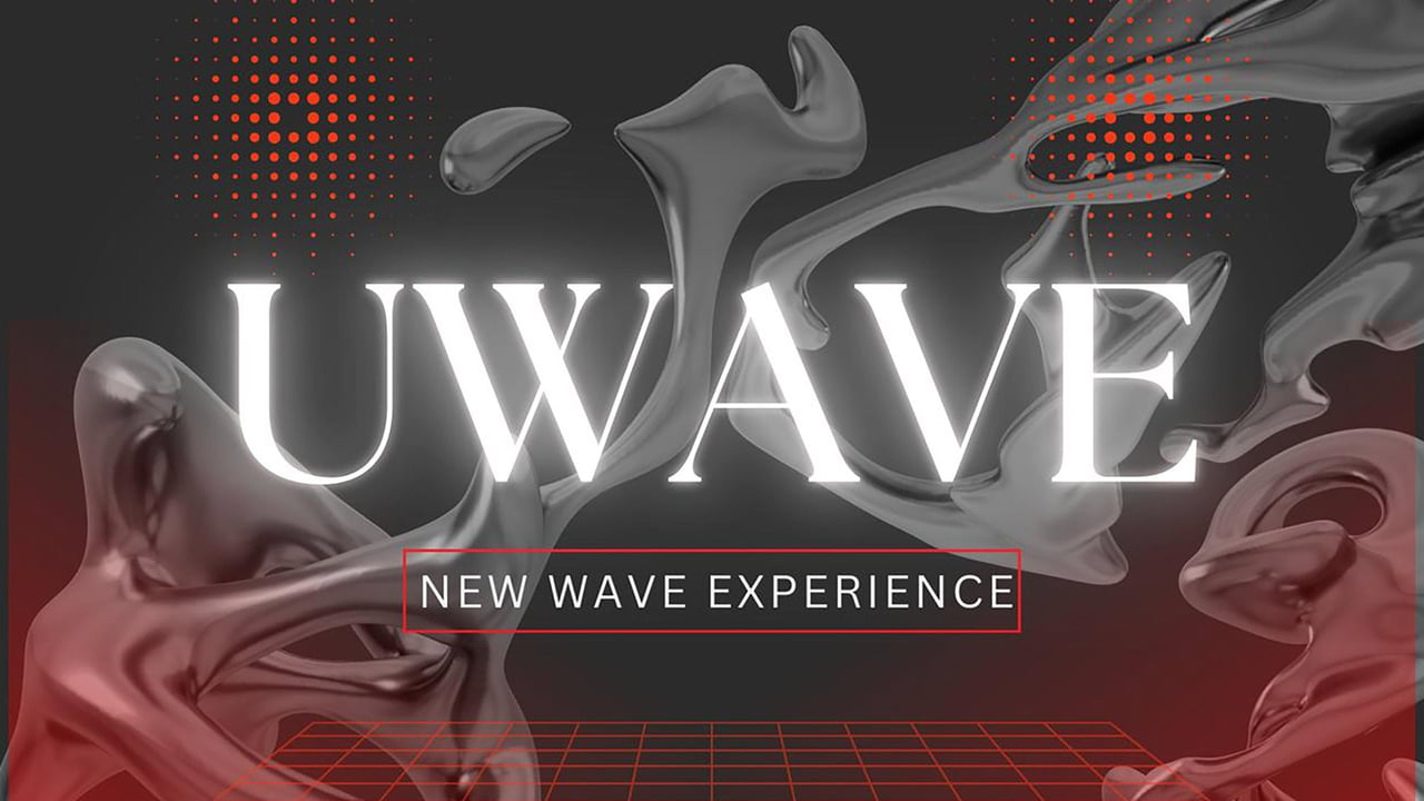 U WAVE (B) - New Wave Experience