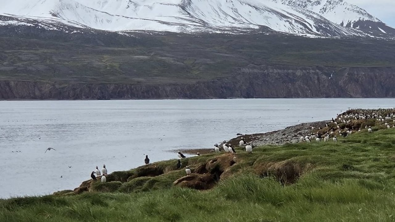 Ferð í Flatey á Skjálfanda