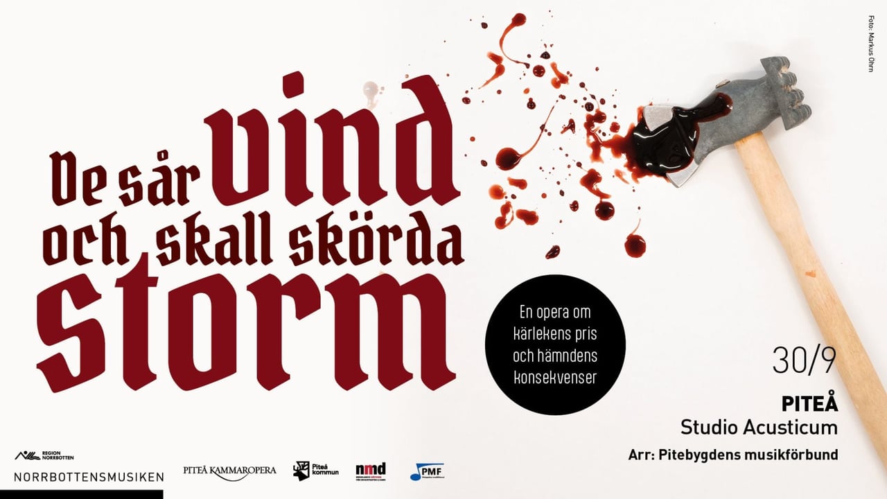 De sår vind och skall skörda storm