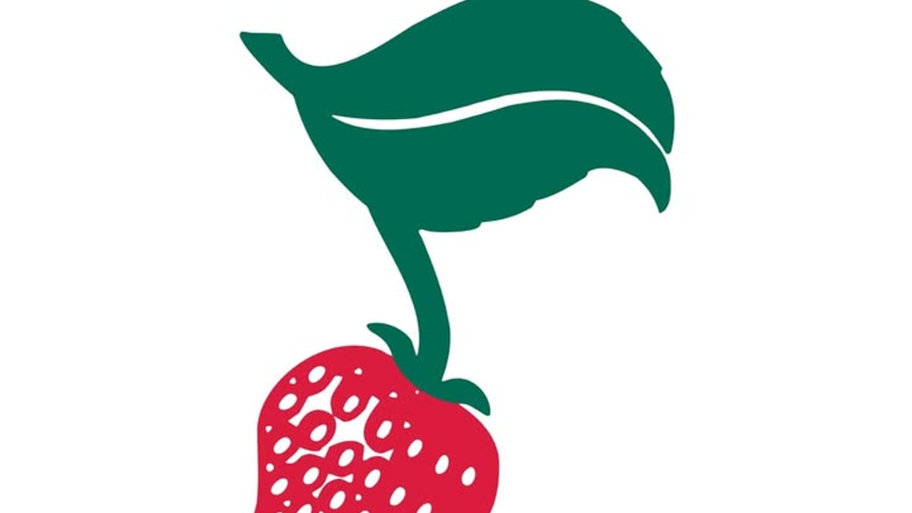The Strawberry Music Festival