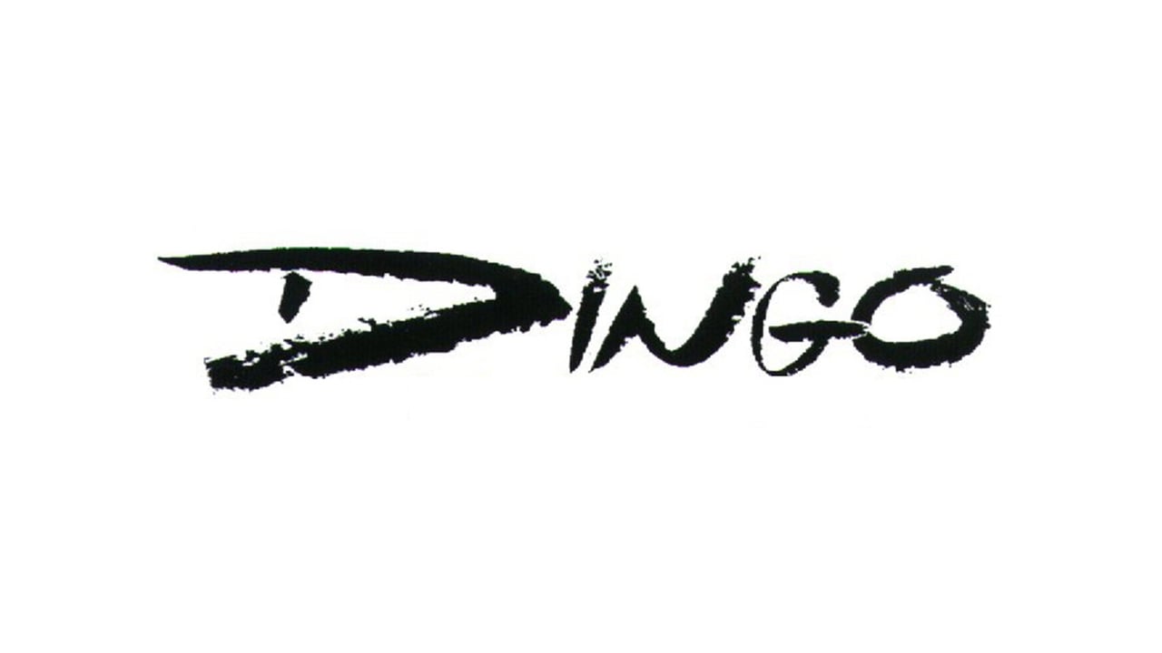 Dingo + Yölintu