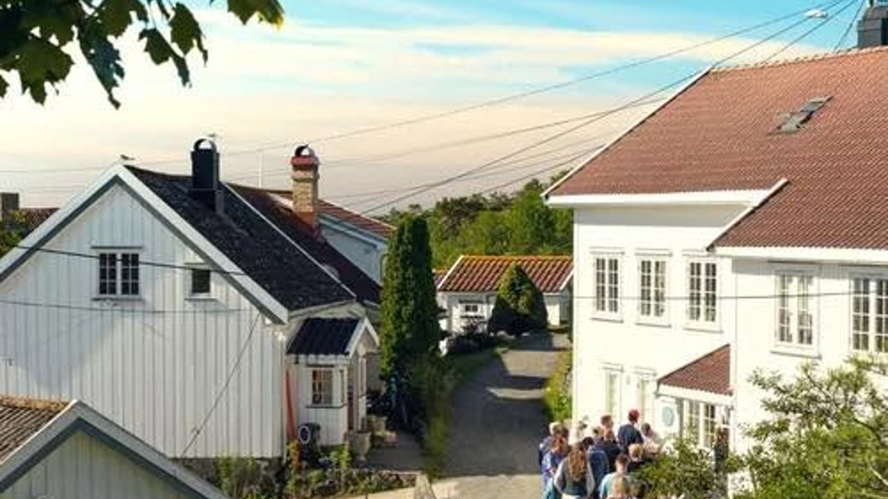 Brød og vind