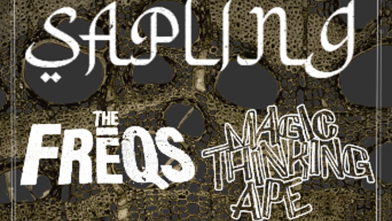 The Freqs, Sapling, & Magic Thinking Ape