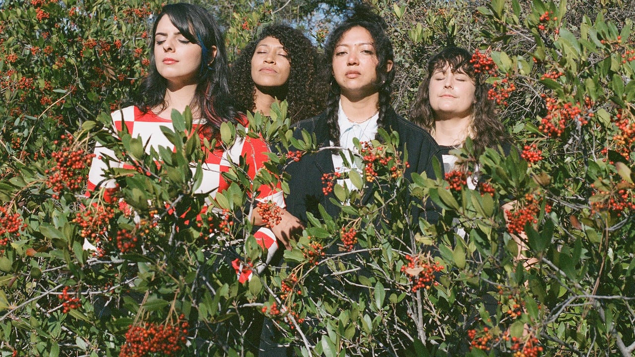 La Luz, Spacemoth