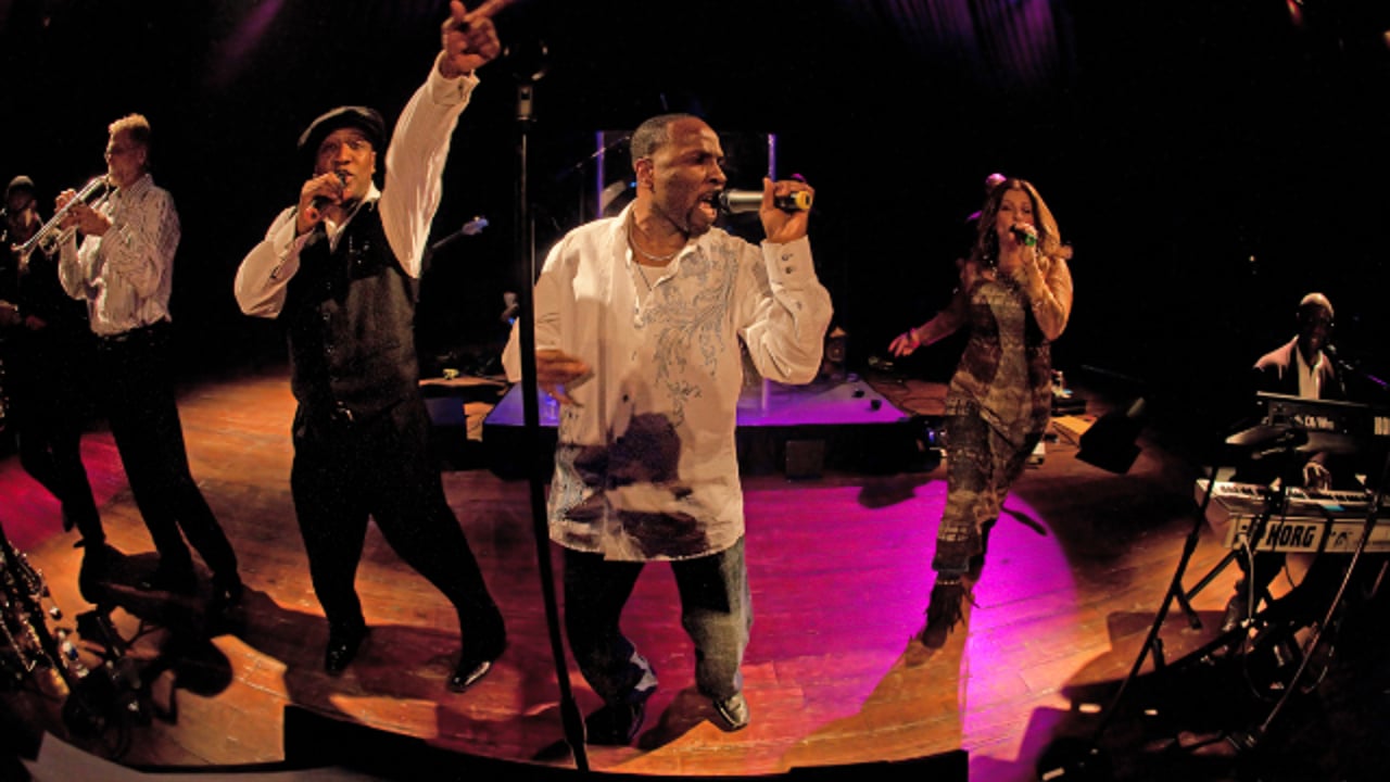 Chicago Catz: Summer Dance Party