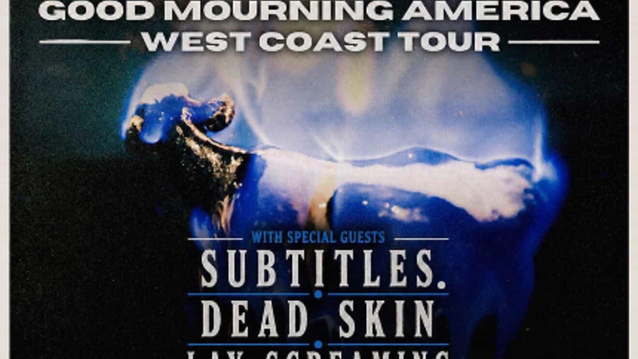 Free The Witness // Subtitles.