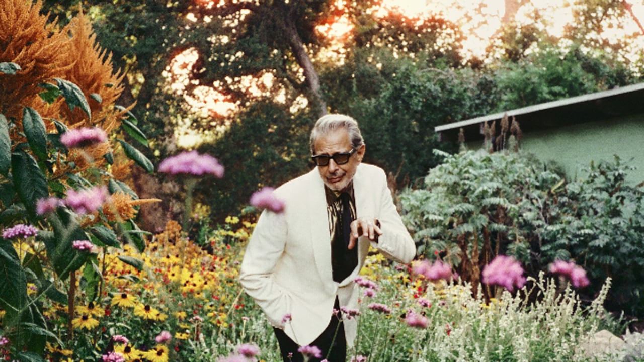 Jeff Goldblum & The Mildred Snitzer Orchestra