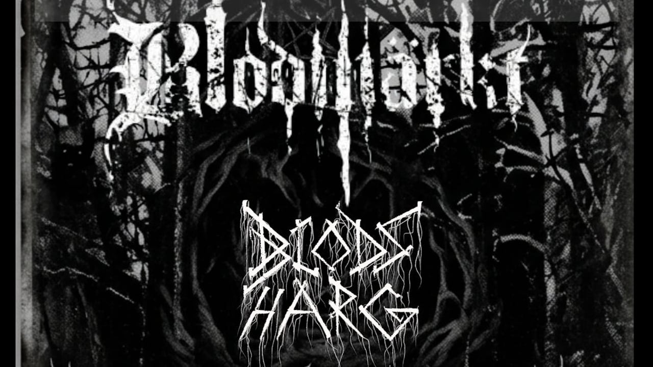 Belsepub: Blodmärkt & Blodsharg 
