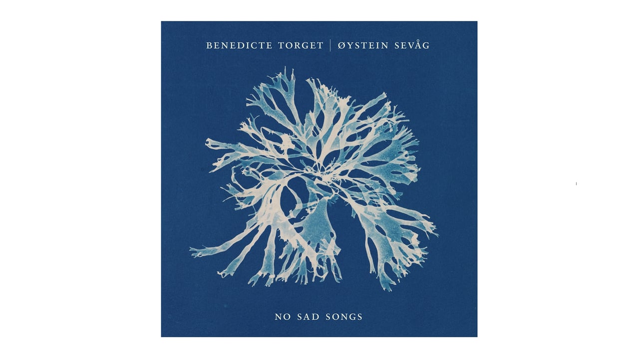 No Sad Songs: Torget / Sevåg albumslipp