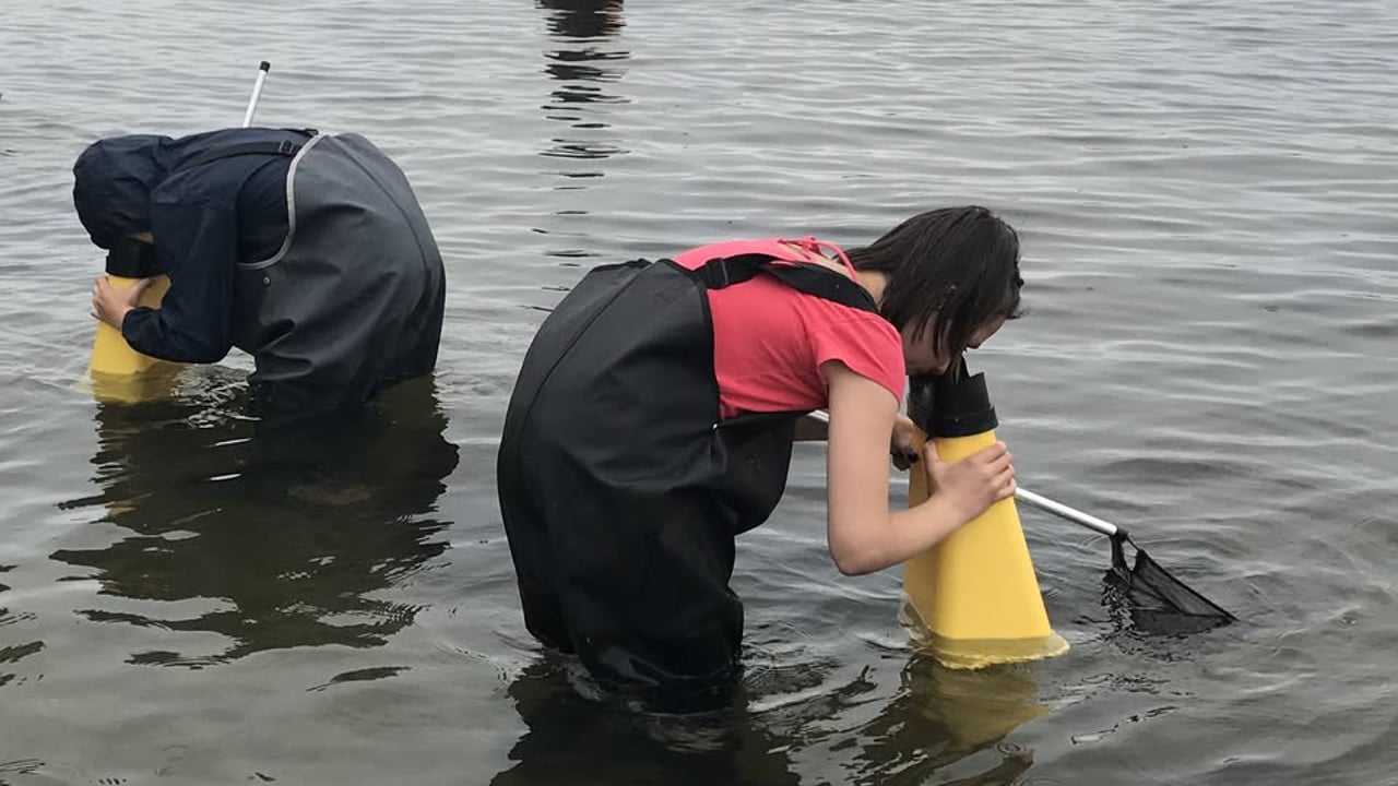 Undring i fjæra