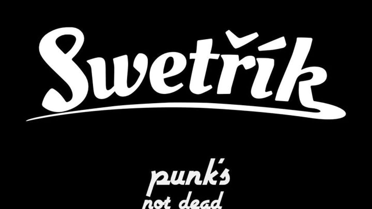 Swetřík