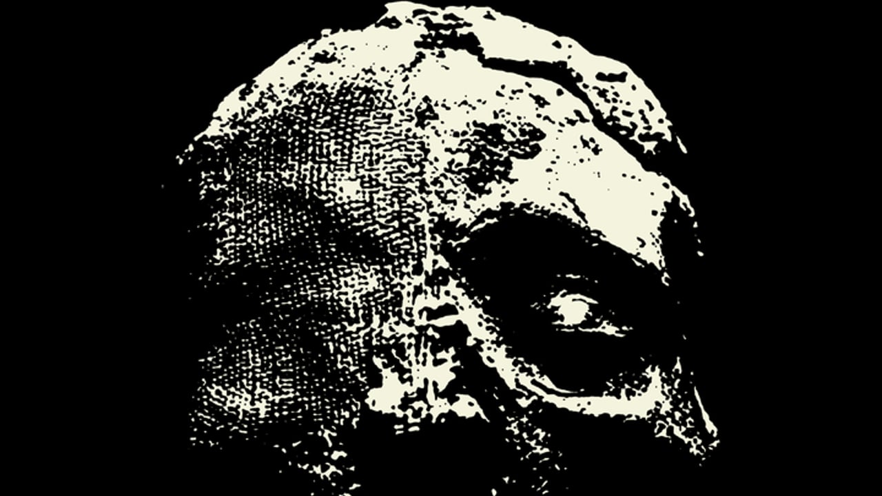 Fossilization