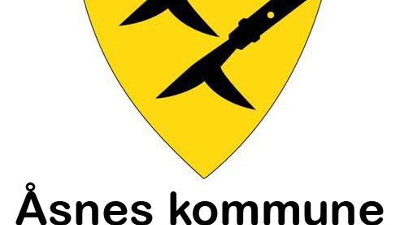 Åsnes kommune