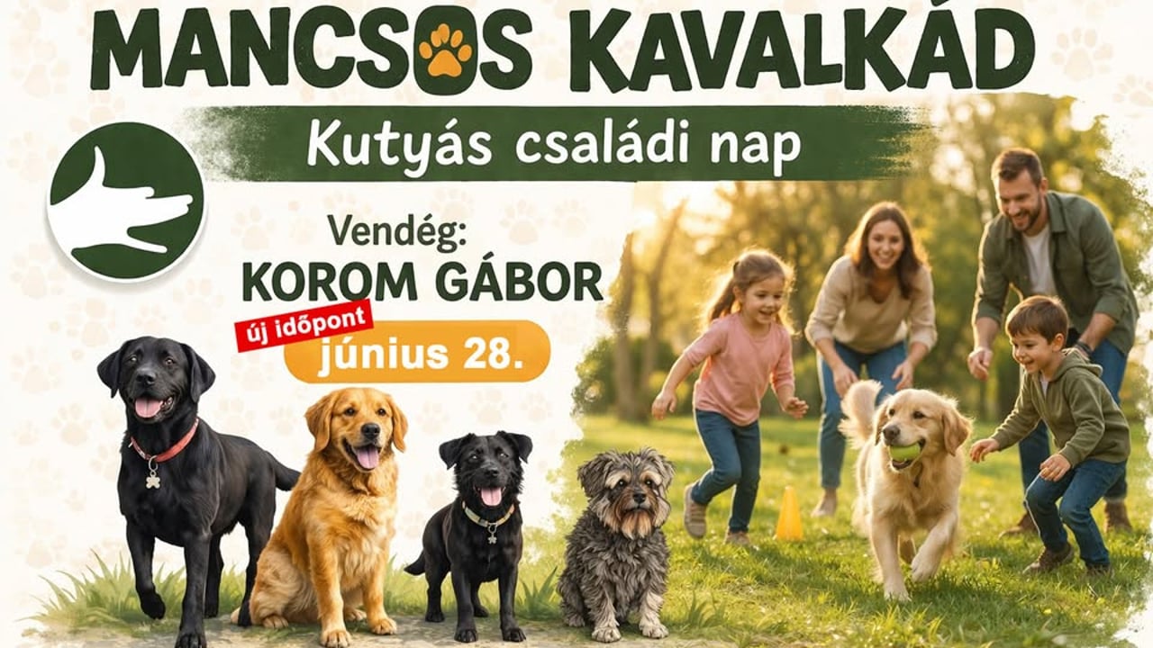 Mancsos Kavalkád // Kutyás családi nap// vendég: Korom Gábor
